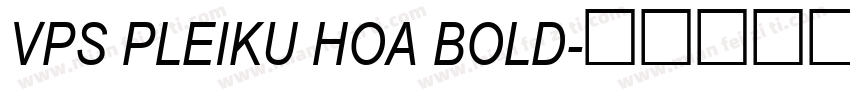 VPS Pleiku Hoa Bold字体转换